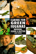 Caring for Green Iguanas