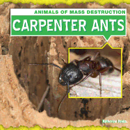 Carpenter Ants