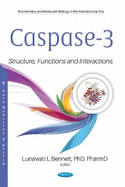 Caspase-3: Structure, Functions and Interactions