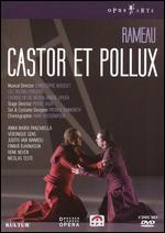 Castor et Pollux - Misjel Vermeiren