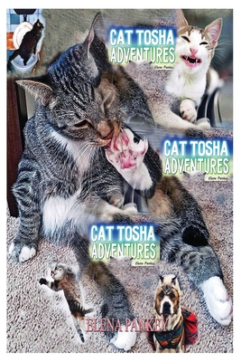 Cat Tosha Adventures: Fun Real Stories - Pankey, Elena