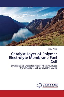 Catalyst Layer of Polymer Electrolyte Membrane Fuel Cell - Wang Jingyi