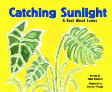 Catching Sunlight: A Book about Leaves