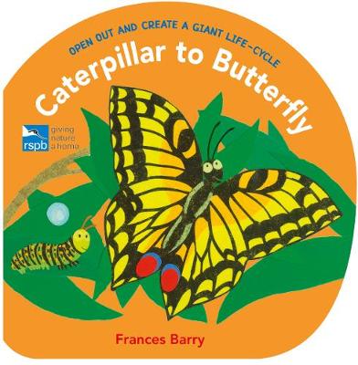 Caterpillar to Butterfly: Open Out and Create a Giant Life-Cycle - Barry, Frances