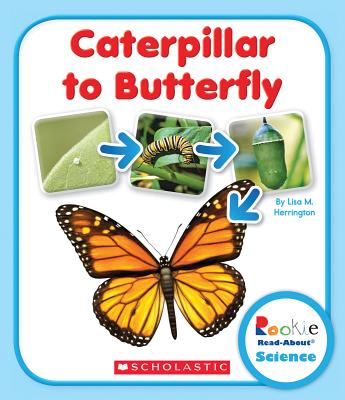 Caterpillar to Butterfly - Herrington, Lisa M