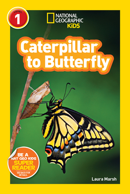 Caterpillar to Butterfly - Marsh, Laura