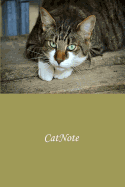 CatNote