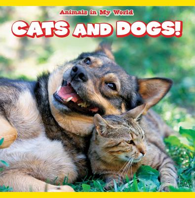 Cats and Dogs! - Palmer, Andrea