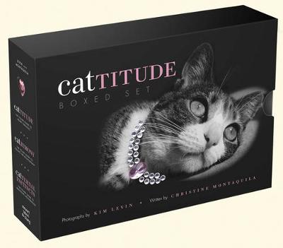 Cattitude Box Set - Montaquila, Christine, and Levin, Kim (Photographer)