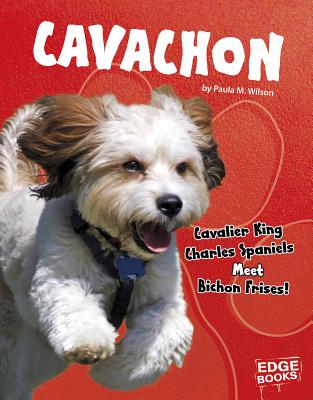 Cavachon: Cavalier King Charles Spaniels Meet Bichon Frises! - Wilson, Paula M