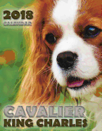 Cavalier King Charles 2018 Calendar