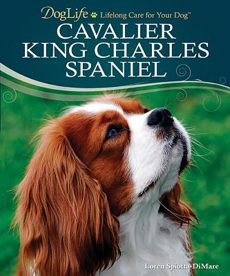 Cavalier King Charles Spaniel - Spiotta-DiMare, Loren