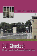 Cell-Shocked: I Crash-Landed Into a Maximum Security Prison