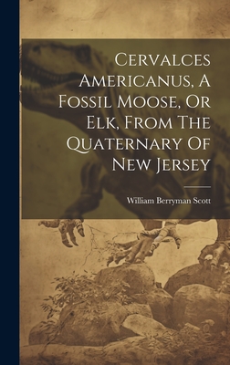 Cervalces Americanus, A Fossil Moose, Or Elk, From The Quaternary Of New Jersey - Scott, William Berryman