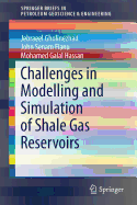 Challenges in Modelling and Simulation of Shale Gas Reservoirs
