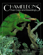 Chameleons: Their Care and Breeding