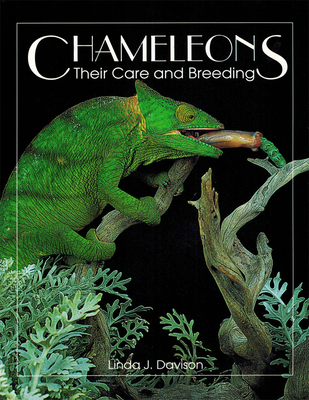 Chameleons: Their Care and Breeding - Davison, Linda