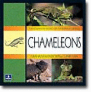 Chameleons - Meadows, Graham