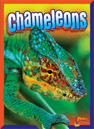 Chameleons