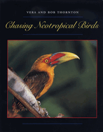 Chasing Neotropical Birds