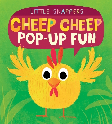 Cheep Cheep Pop-up Fun - Litton, Jonathan