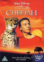 Cheetah - Jeff Blyth