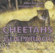 Cheetahs / Guepardos - Von Zumbusch, Amelie