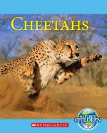 Cheetahs