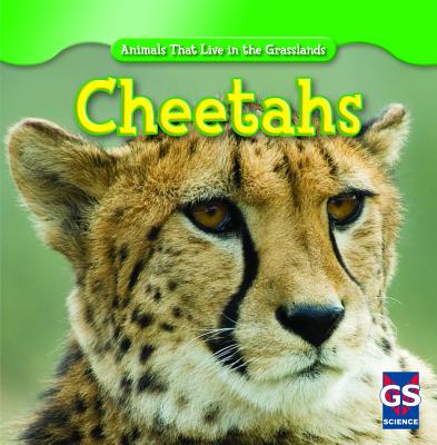 Cheetahs - Grucella, Ethan