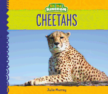 Cheetahs