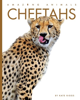 Cheetahs - Riggs, Kate