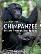 Chimpanzee: Lessons from Our Sister Species