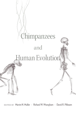 Chimpanzees and Human Evolution - Muller, Martin N. (Editor), and Wrangham, Richard W. (Editor), and Pilbeam, David R. (Editor)