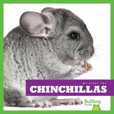 Chinchillas - Black, Vanessa