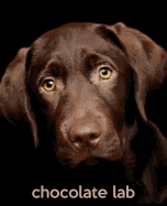 Chocolate Lab: A Gift Journal for People who Love Dogs: Chocolate Labrador Retriever Puppy Edition