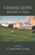 Choose Lethe: Remember to Forget