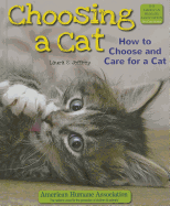 Choosing a Cat: How to Choose and Care for a Cat