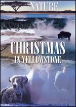 Christmas in Yellowstone - Shane Moore