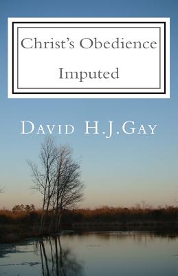 Christ's Obedience Imputed - Gay, David H J