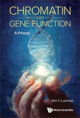 Chromatin and Gene Function: A Primer - Lucchesi, John C