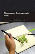 Chromosome Engineering in Plants