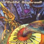 Classical Mushroom - Infected Mushroom