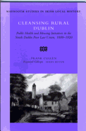 Cleansing Rural Dublin: Public Health and Housing Initiatives in the South Volume 40
