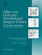 Cleft Surgery: Repair of the Lip, Palate, and Alveolus, an Issue of Atlas of the Oral and Maxillofacial Surgery Clinics: Volume 17-2