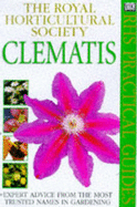 Clematis