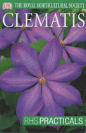 Clematis - Chesshire, Charles