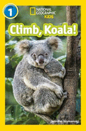 Climb, Koala!: Level 1
