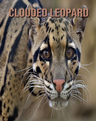 Clouded Leopard: Childrens Book Amazing Facts & Pictures about Clouded