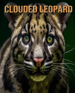 Clouded Leopard: Learn About Clouded Leopard and Enjoy Amazing Facts & Pictures