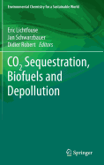 CO2 Sequestration, Biofuels and Depollution